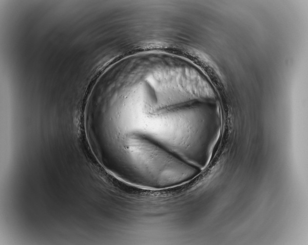 X0000094771217200711301519