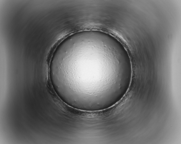 X0000094771219200711301519