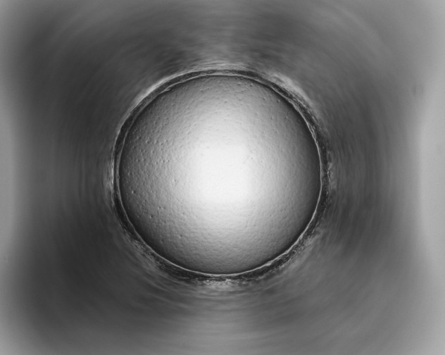 X0000094771220200711301519