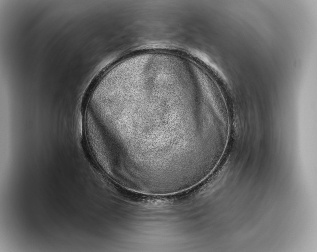 X0000094771221200711301519