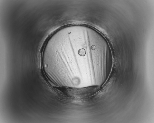 X0000094771223200711301519