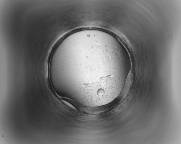 X0000094771224200711301519