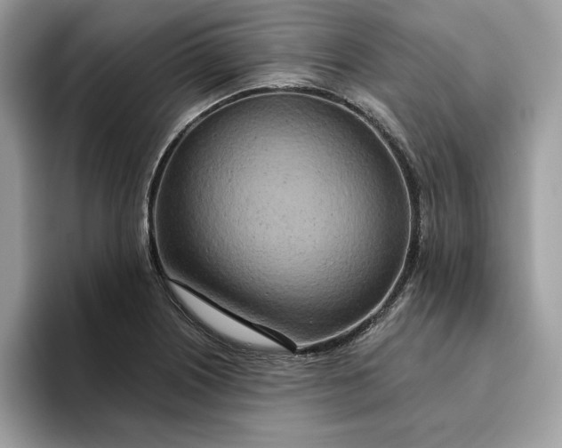 X0000094771226200711301519