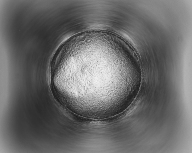 X0000094771227200711301519