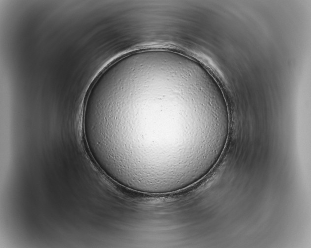 X0000094771228200711301519