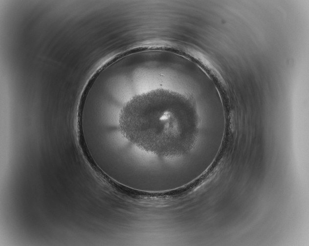 X0000094771229200711301519