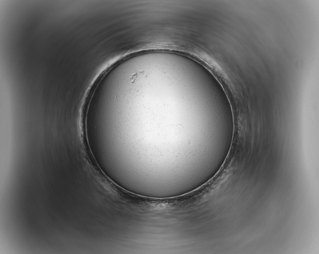 X0000094771230200711301519