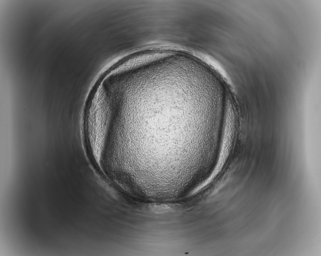 X0000094771231200711301519