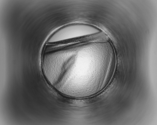 X0000094771232200711301519