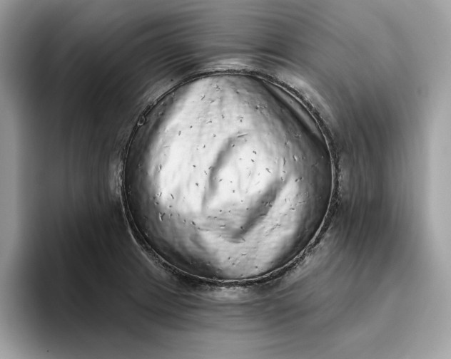 X0000094771233200711301519