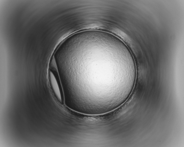 X0000094771234200711301519