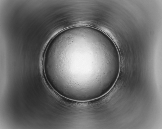 X0000094771235200711301519