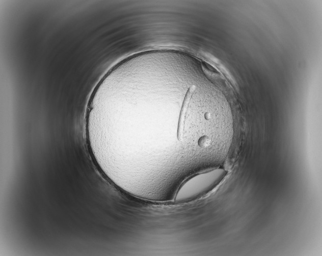 X0000094771236200711301519