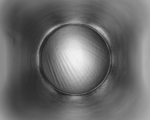 X0000094771238200711301519