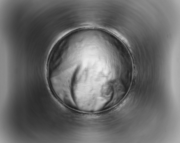 X0000094771239200711301519