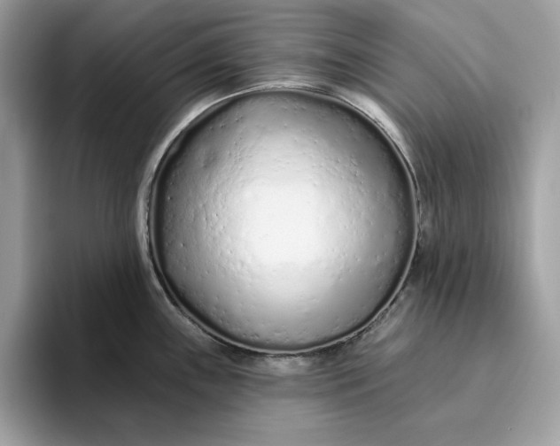 X0000094771243200711301520