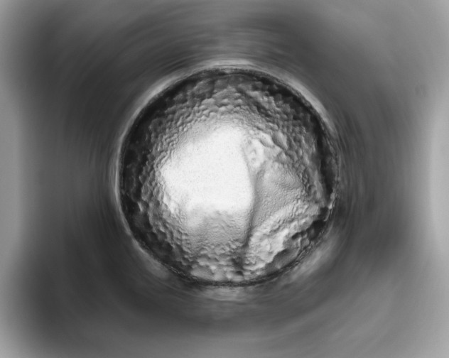 X0000094771245200711301520