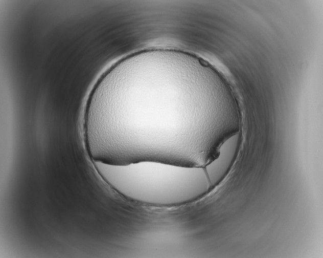 X0000094771248200711301520