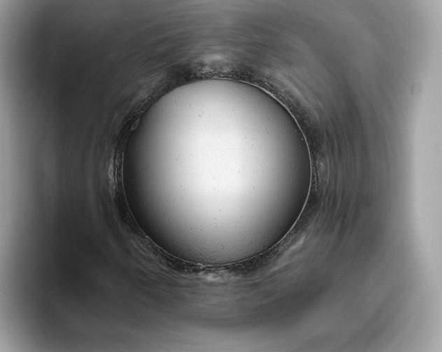 X0000094771250200711301519