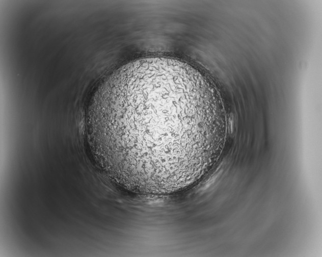 X0000094771251200711301519