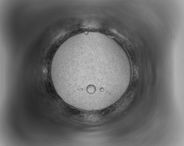 X0000094771254200711301519