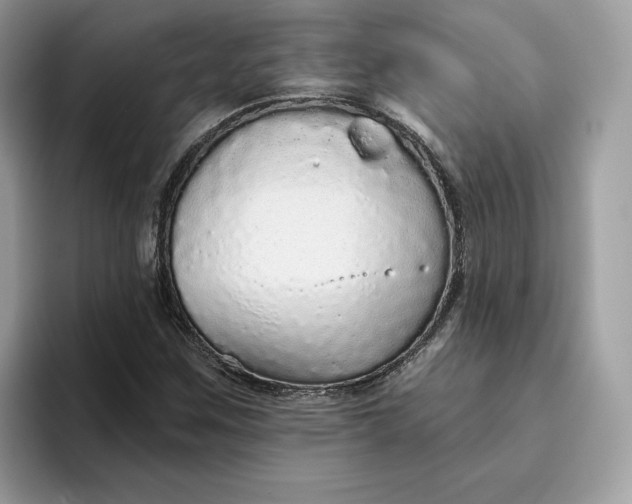 X0000094771259200711301519