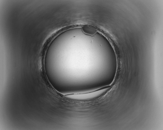 X0000094771262200711301519