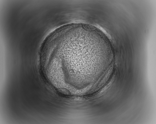 X0000094771263200711301519