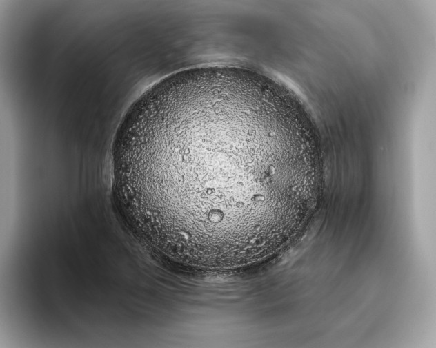 X0000094771267200711301519