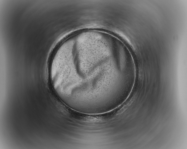 X0000094771270200711301519