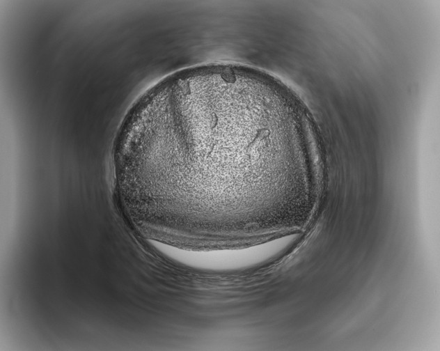 X0000094771271200711301519