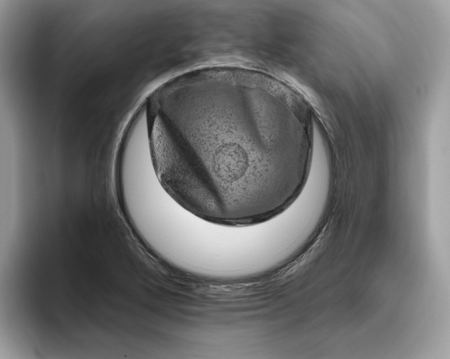 X0000094771272200711301519