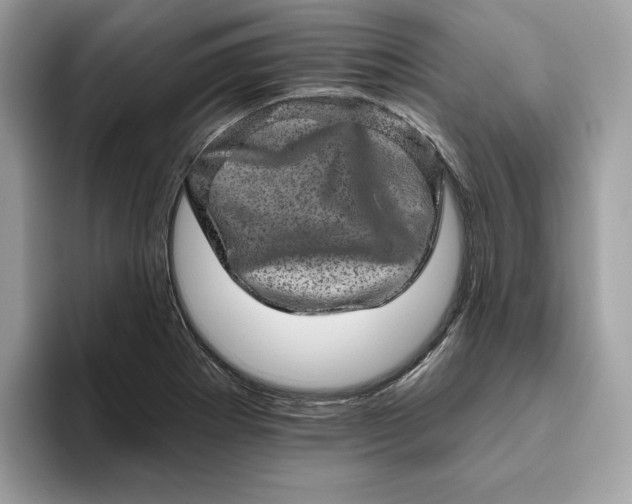 X0000094771273200711301519