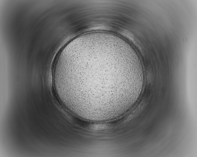 X0000094771274200711301519