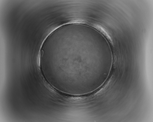 X0000094771276200711301519