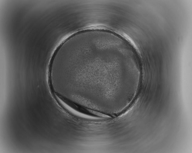 X0000094771277200711301519