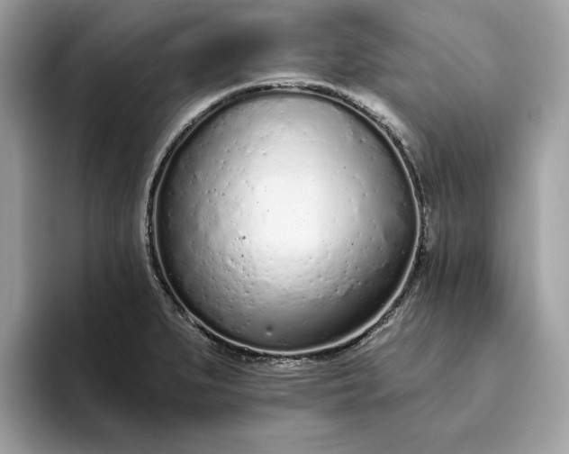 X0000094771279200711301519