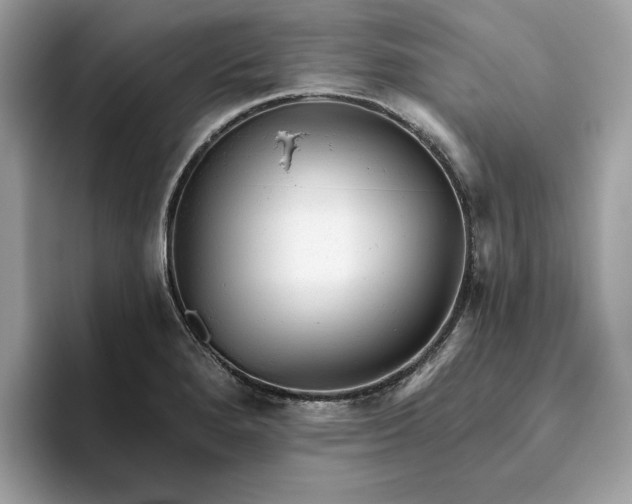 X0000094771280200711301519