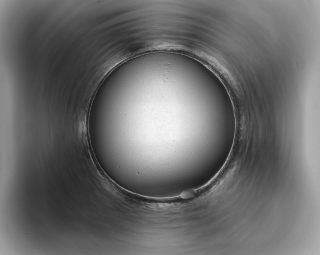 X0000094771281200711301519