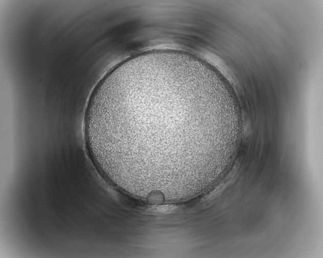 X0000094771282200711301519