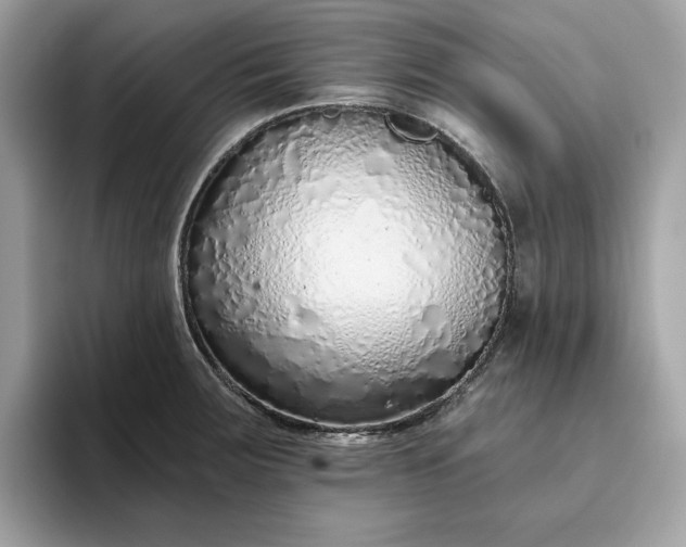 X0000094771283200711301519