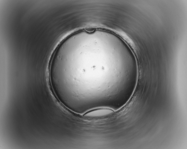 X0000094771287200711301518