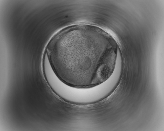 X0000094771288200711301518