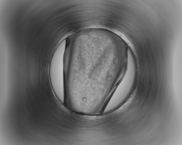 X0000094771289200711301518