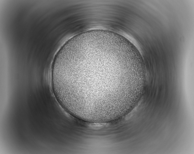 X0000094771290200711301518