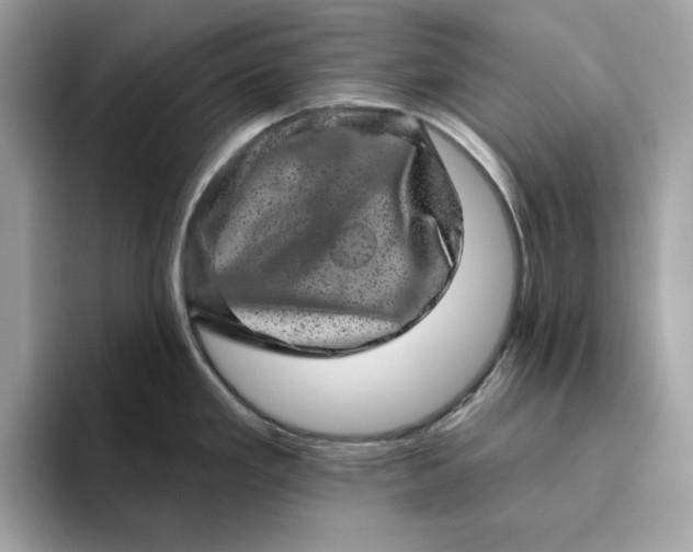 X0000094771293200711301518