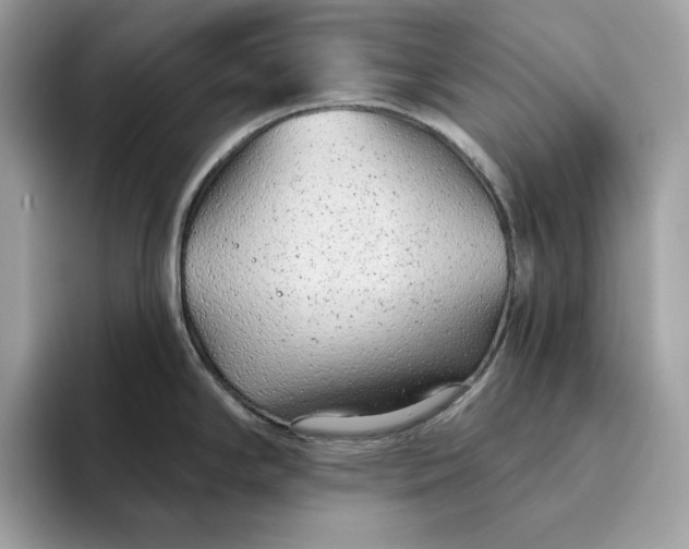 X0000094771294200711301518