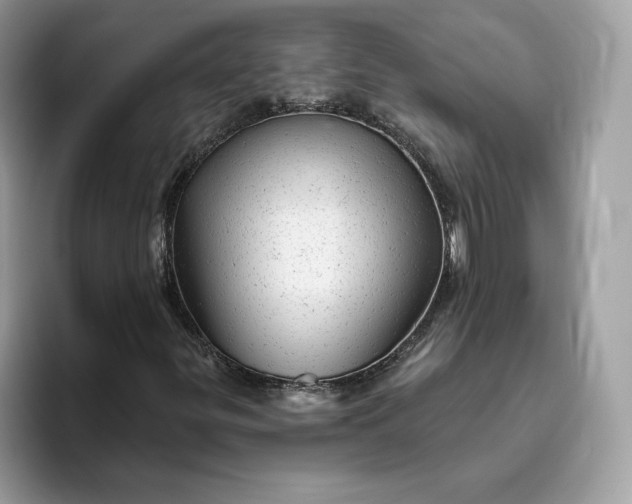 X0000094771299200711301518