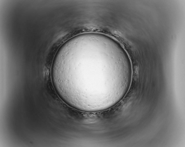 X0000094771302200711301518