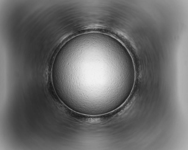 X0000094771313200711301518